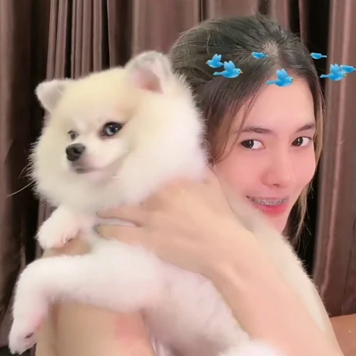 วุ้นเส้นอุ้มปุยปุย ภาพคู่จากไลฟ์